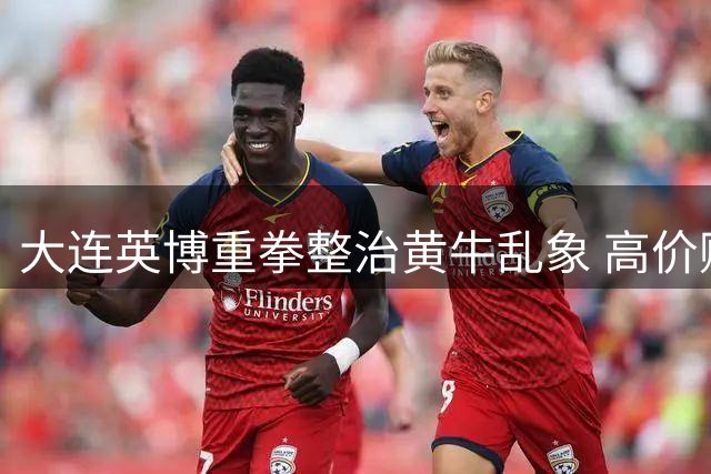 大连英博重拳整治黄牛乱象 高价购票球迷可获下轮优先权